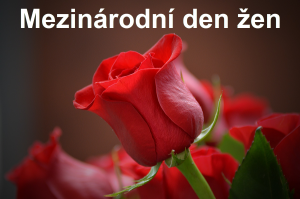 Mezinárodní den žen